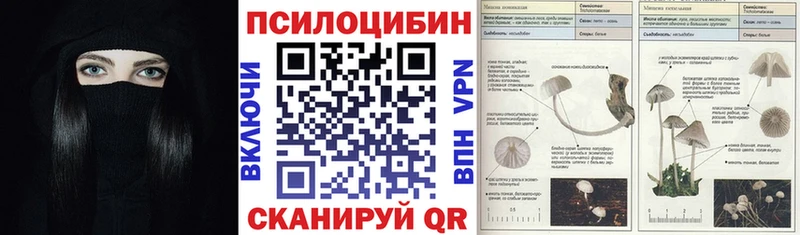 ссылка на мегу зеркало  Воронеж  Галлюциногенные грибы ЛСД 