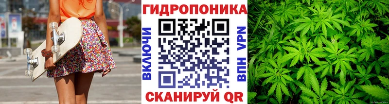 Каннабис план  это как зайти  Воронеж 